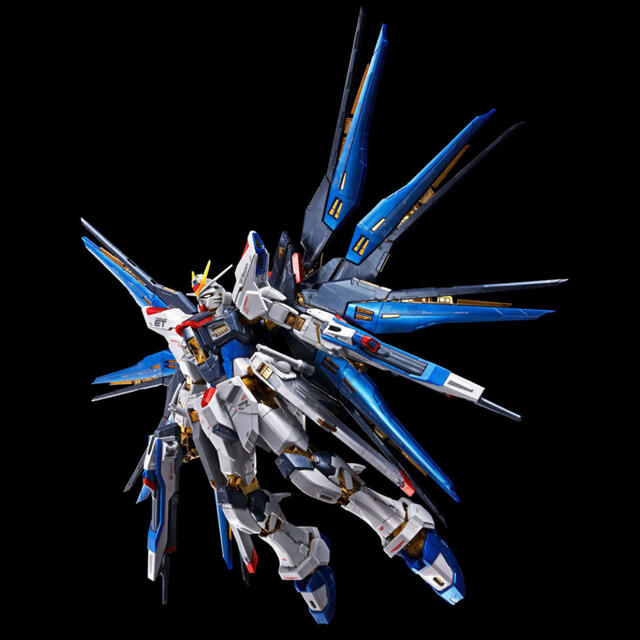 新品 RG ストライクフリーダム チタニウムフィニッシュ ガンプラ 1/144 2