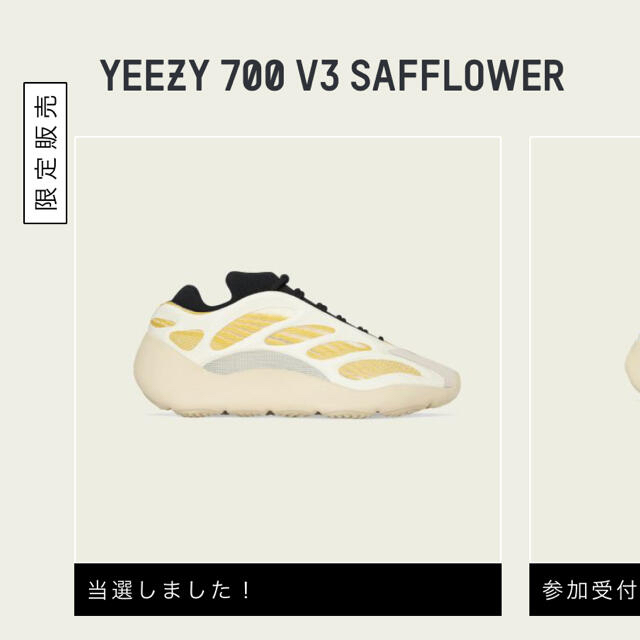 adidas(アディダス)のYeezy 700 V3 Safflower Kanye ゴールデンサイズ メンズの靴/シューズ(スニーカー)の商品写真