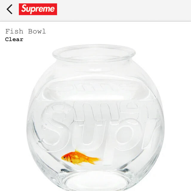 Supreme(シュプリーム)のsupreme Fish Bowl 新品 メンズのファッション小物(その他)の商品写真