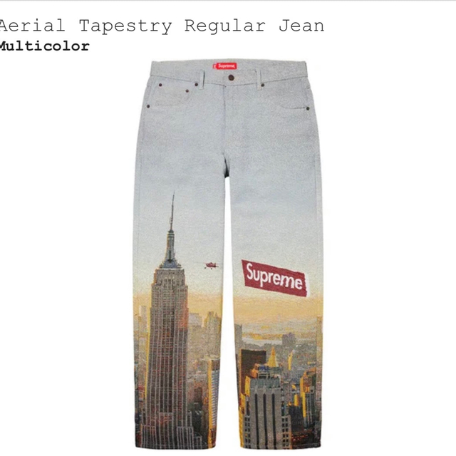 Supreme Aerial Tapestry Regular Jean 32