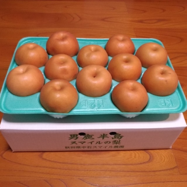 アイナ様専用約10kg訳ありご家庭用×2☆送料込☆秋田県産 南水梨 半額