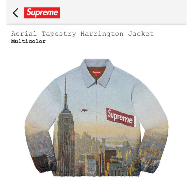 メンズSupreme Aerial Tapestry Harrington JKT