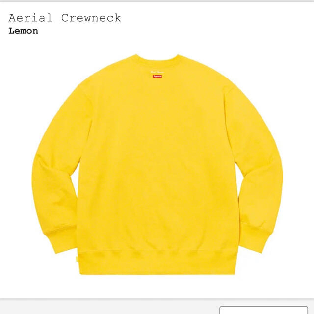 国内正規品★L★supreme Aerial Crewneck