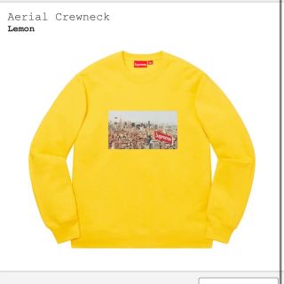 シュプリーム(Supreme)のエアリアル　aerial クルーネック　crewneck サイズ　L (スウェット)