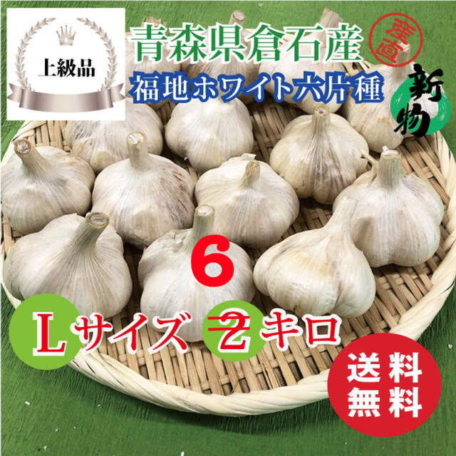 青森県産 福地ホワイト六片 にんにく Lサイズ 種用 ２０キロ 消毒済み