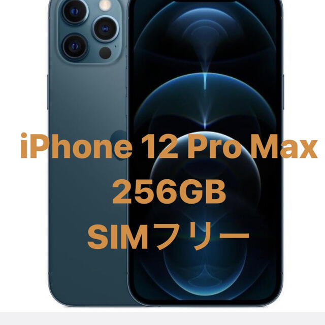 iPhone 12 Pro Max 256GB SIMフリー