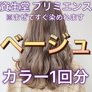 シセイドウ(SHISEIDO (資生堂))の資生堂 プリミエンスヘアカラー ベージュ&前処理剤25mL(カラーリング剤)