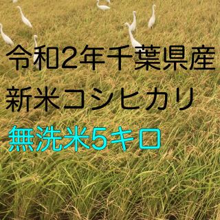 令和2年新米コシヒカリ無洗米5kg(米/穀物)