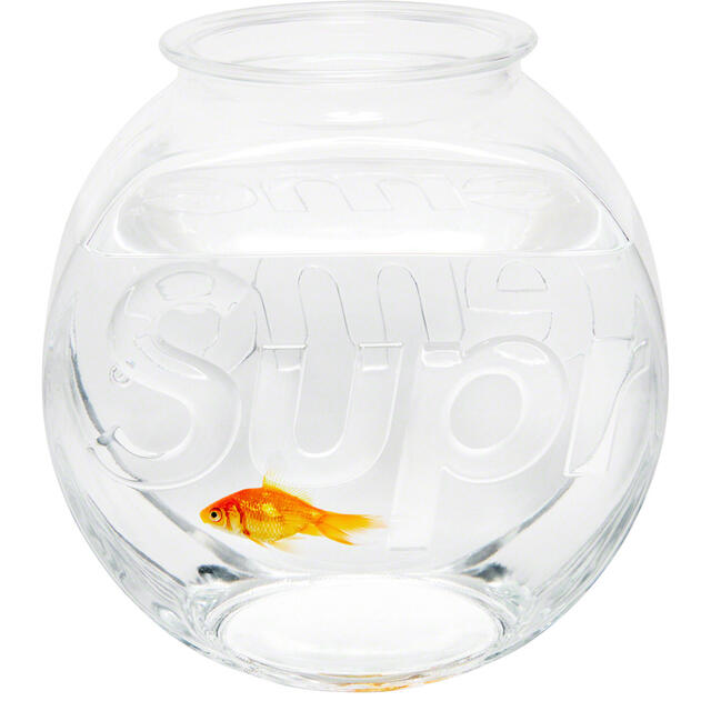 Supreme Fish Bowl 【クーポン利用で1,000円OFF】