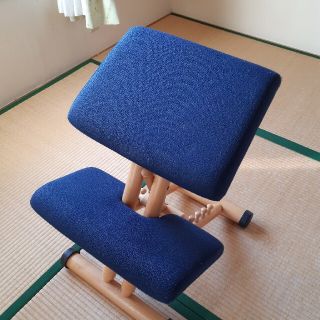 STOKKE ストッケ バランスチェア MULTI 青