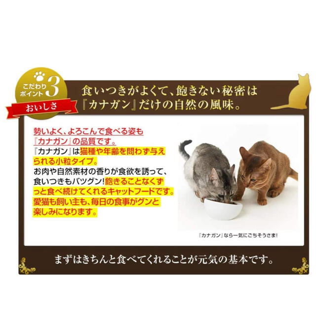 カナガンキャットフード その他のペット用品(ペットフード)の商品写真