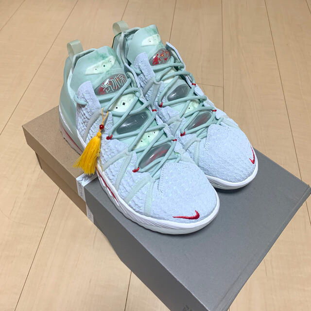 NIKE ナイキ バスケットシューズ レブロン XVIII 25cm