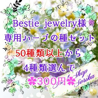 Bestie jewelry様専用 ハーブの種セット 家庭菜園 野菜(その他)