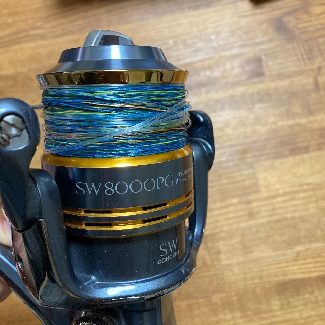 [専用]SHIMANO 09ツインパワーsw8000pg（オシアex8 4号付）