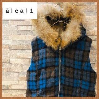 アルカリ(alcali)のalcali（アルカリ) レディース　ダウンベスト　アウター　チェック柄　フリー(ダウンベスト)