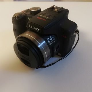 パナソニック(Panasonic)のPanasonic LUMIX FZ DMC-FZ100(コンパクトデジタルカメラ)