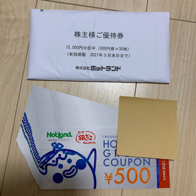 ホットランド  銀タコ 株主優待 15000円分 チケットの優待券/割引券(フード/ドリンク券)の商品写真