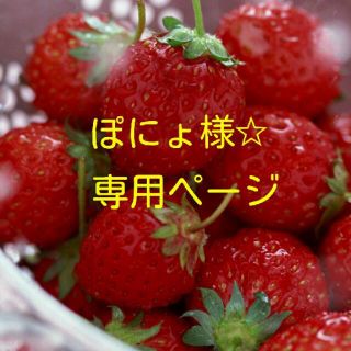 ジーナシス(JEANASIS)のぽにょ様☆専用ページ(セット/コーデ)