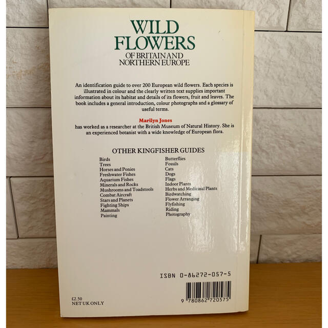 WILD FLOWERS 植物図鑑 洋書 古書の通販 by sata's shop|ラクマ WILD FLOWERS 植物図鑑 洋書 古書の通販 by sata's shop|ラクマ