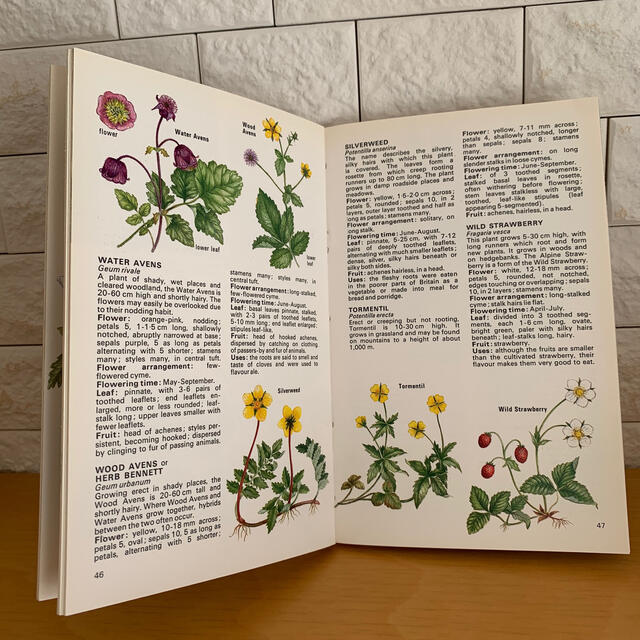 L-83 洋書古書　美しい植物解剖図満載(植物画240P)スウェーデンの植物図鑑 洋書 分割 セール