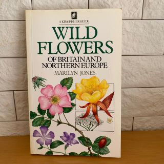 WILD FLOWERS 植物図鑑　洋書　古書(洋書)