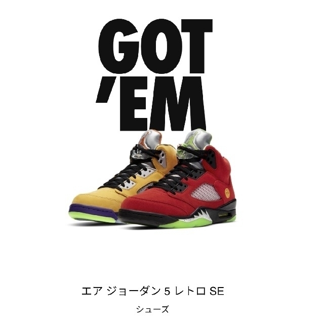 NIKE AIR JORDAN5 “What The”  26.0cm