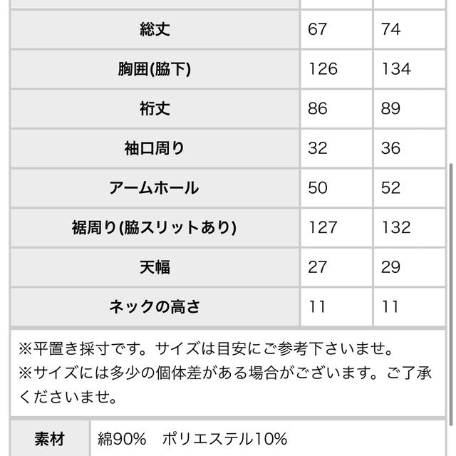 antiqua(アンティカ)のantiqua レディースのトップス(カットソー(長袖/七分))の商品写真