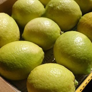 産地直送！   無農薬 レモン(フルーツ)
