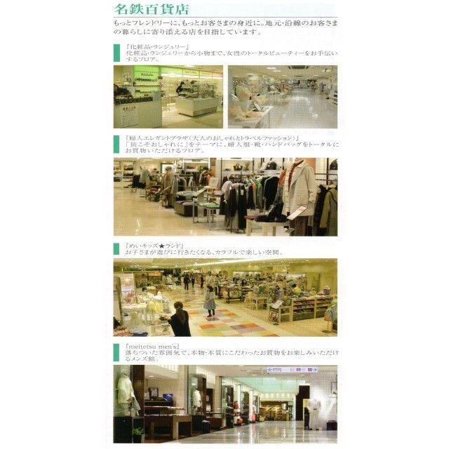 名鉄百貨店(メイテツヒャッカテン)の名鉄百貨店買い物優待券(10%割引)【6枚】 チケットの優待券/割引券(ショッピング)の商品写真