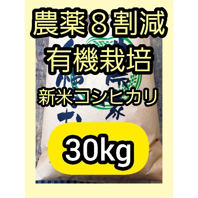 農薬８割減》新米コシヒカリ30kg《有機栽培》④　週間売れ筋　64.0%OFF