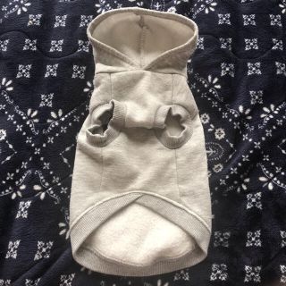 POLO RALPH LAUREN - 犬服Sサイズ2-3kg小型犬用トイプードル等グレー