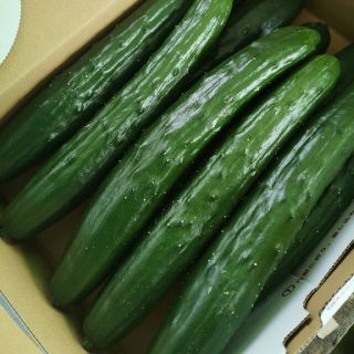 ベジタリアン様専用②(野菜)