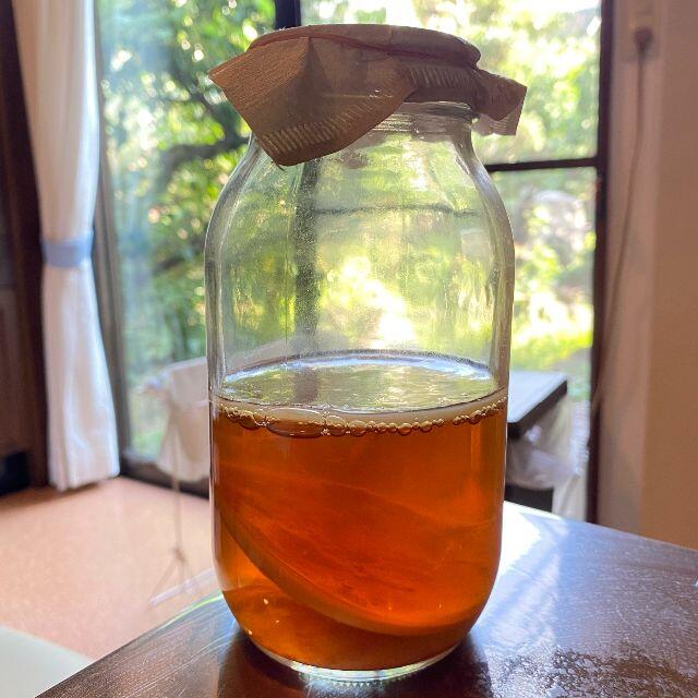 厳選 スコービー Scoby コンブチャ 紅茶キノコ スターターキットの通販 By Kinokoucha ラクマ 厳選 スコービー Scoby コンブチャ 紅茶キノコ スターターキットの通販 By Kinokoucha ラクマ