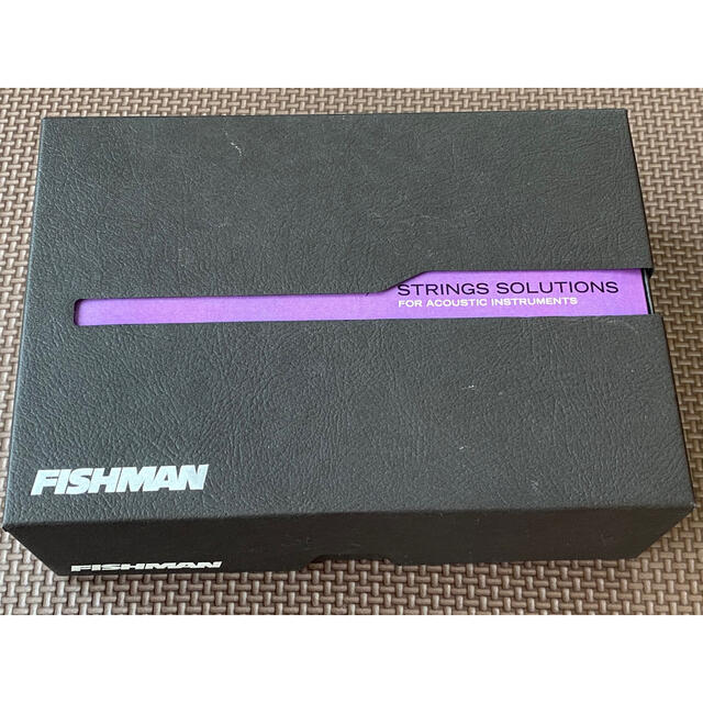 フィッシュマン ピックアップ Fishman V-100 ⭐︎再値下げ⭐︎