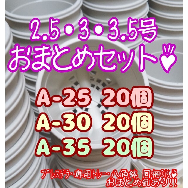 プラ鉢60個おまとめセット♪【2.5号・3号・3.5号 各20個】プレステラ多肉 ハンドメイドのフラワー/ガーデン(プランター)の商品写真