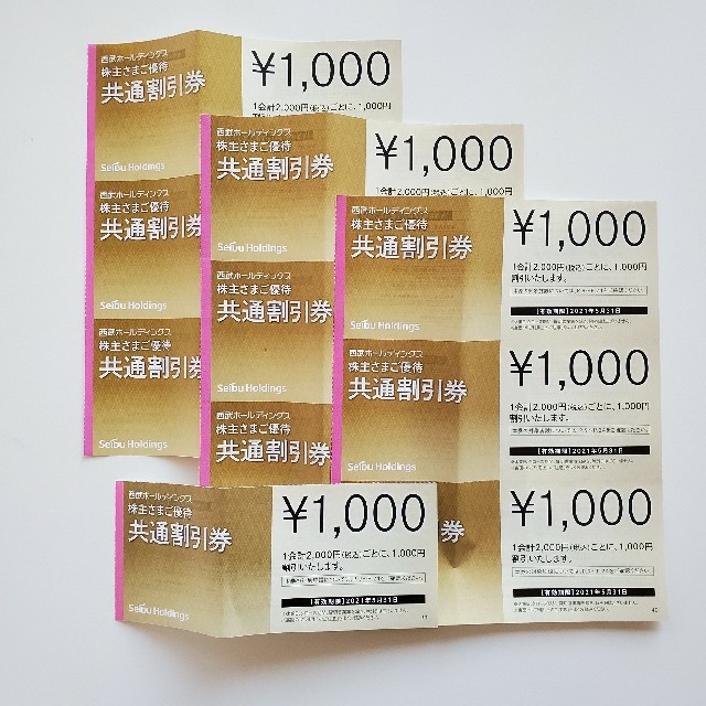 【西武HD】株主優待共通割引券10枚組