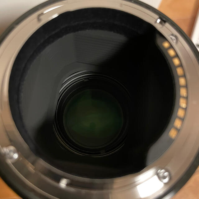 SIGMA 70mm F2.8 DG MACRO SONY 【公式ショップ】 riverside.edu.ph