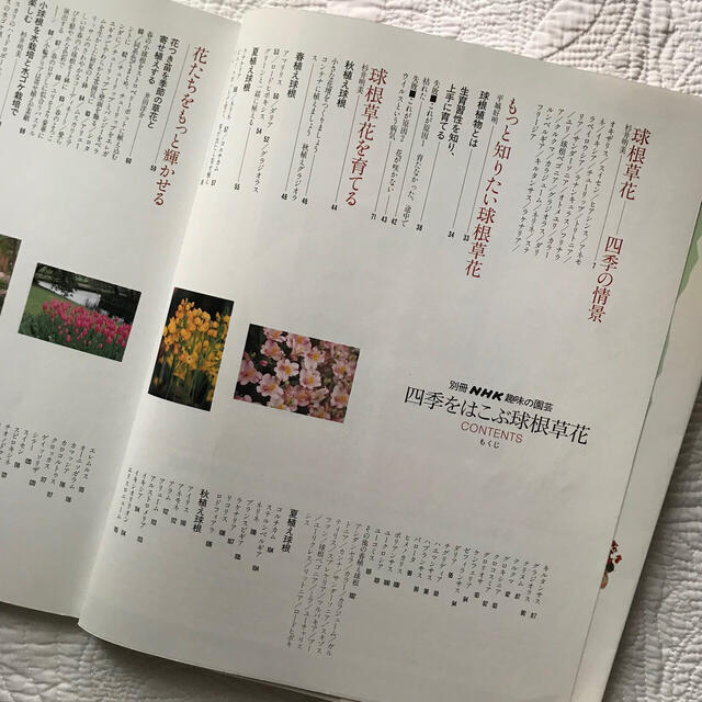 四季をはこぶ球根草花 エンタメ/ホビーの本(趣味/スポーツ/実用)の商品写真