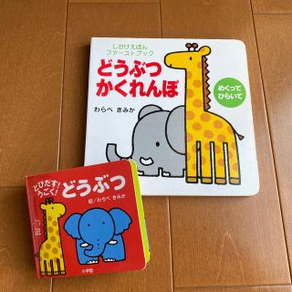 しかけ絵本　どうぶつ(絵本/児童書)