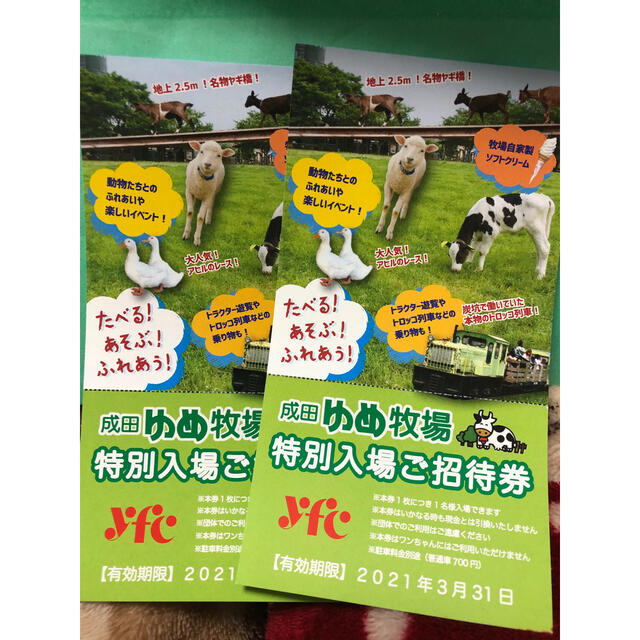 成田ゆめ牧場　入場ご招待券　２枚 チケットの施設利用券(遊園地/テーマパーク)の商品写真