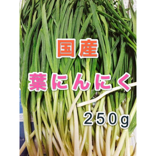 国産　無農薬野菜　葉にんにく　250g 食品/飲料/酒の食品(野菜)の商品写真