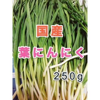 国産　無農薬野菜　葉にんにく　250g(野菜)