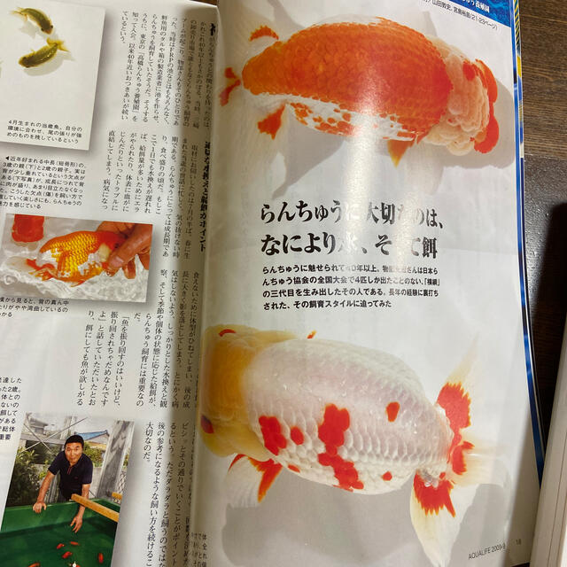 月刊アクアライフ2009年9月号 その他のペット用品(アクアリウム)の商品写真