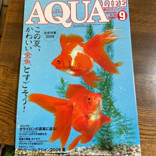 月刊アクアライフ2009年9月号(アクアリウム)