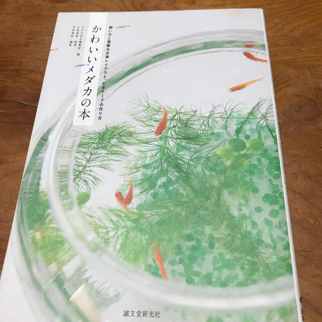 かわいいメダカの本 飼い方と素敵な水草レイアウト ビオト プの作り方の通販 By Bame S Shop ラクマ かわいいメダカの本 飼い方と素敵な水草レイアウト ビオト プの作り方の通販 By Bame S Shop ラクマ