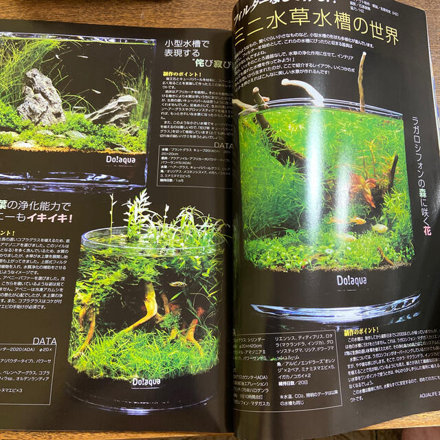 月刊アクアライフ2009年10月号 その他のペット用品(アクアリウム)の商品写真