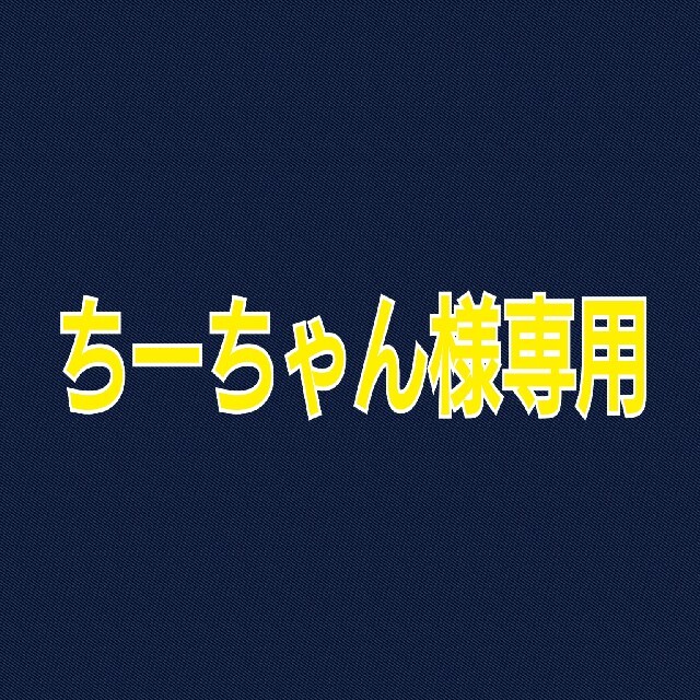 群馬県 ダムかるた 29組・58枚セット