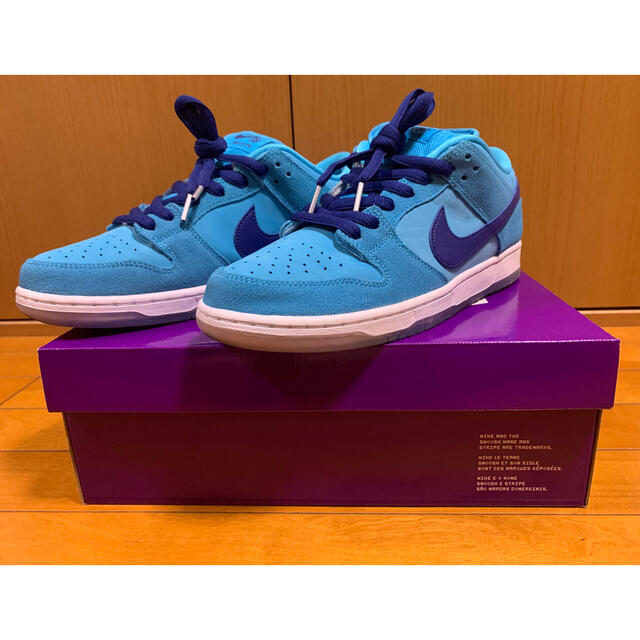 NIKE SB DUNK LOW PRO "BLUE FURY" 28cmナイキsb