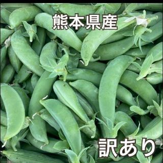 【野菜】スナップエンドウ　訳あり　500g(野菜)
