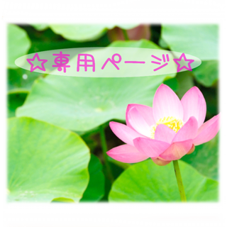 断捨離アン様専用ページ(その他)